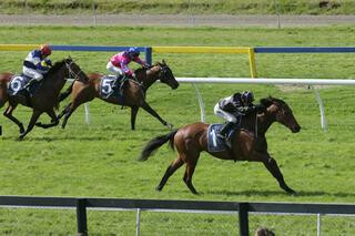 Scapolo (NZ) scores 16th career win. Photo Credit: Trish Dunell.